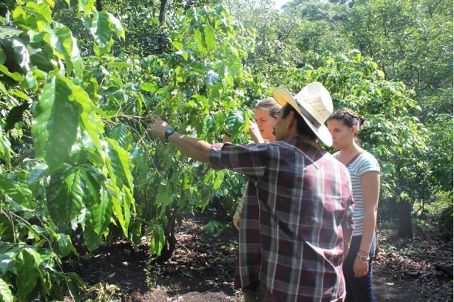 Explicaciones de guias expertos 